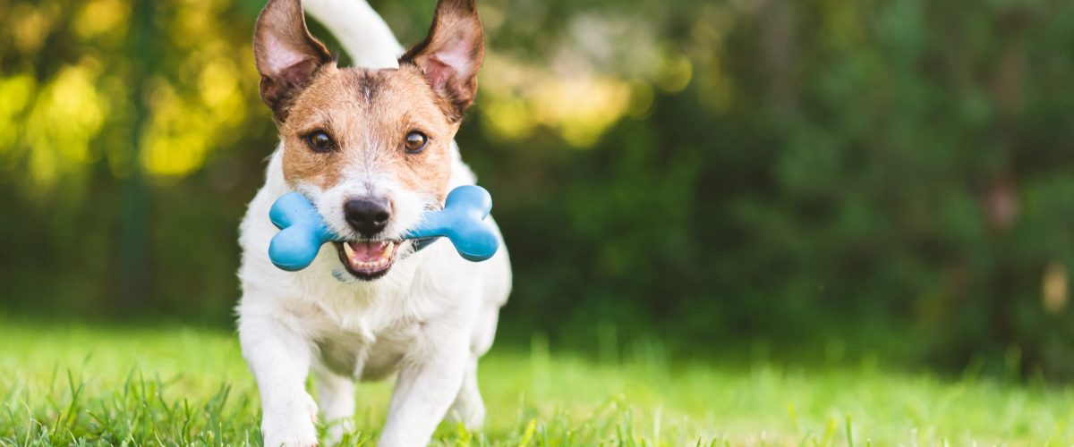 imgi 78 625af4bc081e314f87962976 05